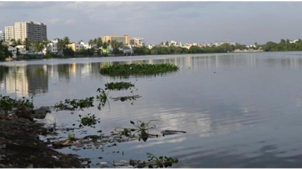 Green Tribunal directs govt to dredge 6 lakes in Velachery to prevent floods