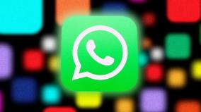 whatsapp-gets-instagram-inspired-status-reaction-feature