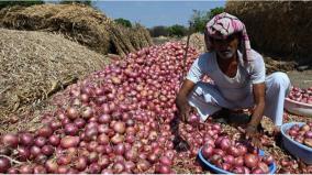 onion-prices-continue-to-rise-in-koyambedu-sell-at-rs-44-per-kg