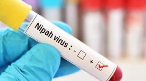 after-nipah-case-confirmed-in-malappuram-kerala-on-high-alert