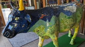 switzerland-travelogue-chapter-4-about-swiss-alps-cows-and-production