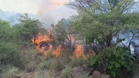 fire-incident-at-thiru-annamalai-acre-of-trees-and-plants-were-burnt-and-damaged