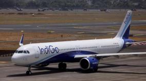 passenger-trying-to-open-the-emergency-door-of-the-plane