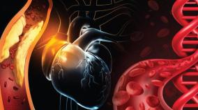 about-heart-disease-was-explained