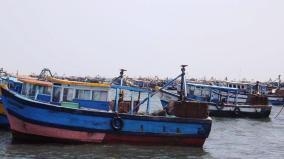 37-tamil-nadu-fishermen-arrested-by-sri-lanka-navy