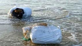 sri-lankan-navy-seizes-bundles-of-beedi-leaves-stranded-on-the-coast-of-mannar-district