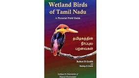 about-indian-ornithologist-salim-ali