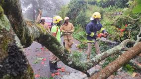 heavy-rain-with-thunder-and-lightning-at-midnight-in-nilgiris