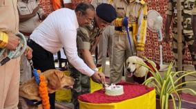 ceasar-the-sniffer-dog-who-retired-from-chennai-airport-security