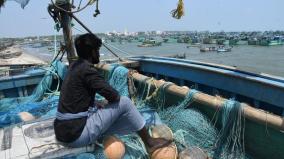 50-tn-fishermen-released-from-sri-lankan-jail-prison-sentence-for-5-people