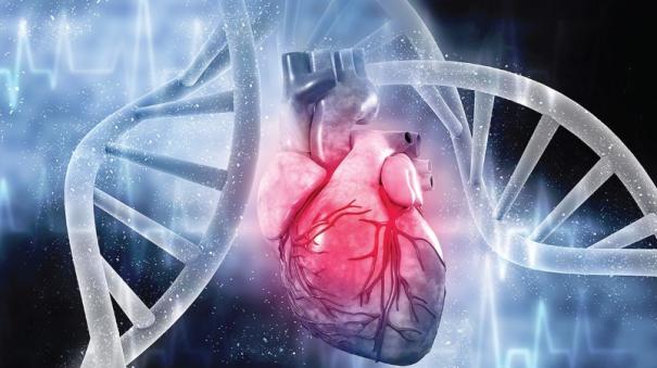 Genetic heart Disease was explained