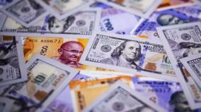 foreign-exchange-reserves-rise-to-rs-59-lakh-crore