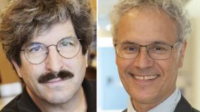 nobel-prize-in-medicine-2024-victor-ambros-gary-ruvkun-win-for-microrna