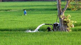 groundwater-level-rises-in-24-districts-last-month-due-to-widespread-rains