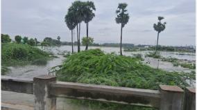 madurai-vandiyur-lake-overflow-channel-breach