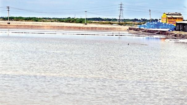 Salt production 50% decreased in Thoothukudi