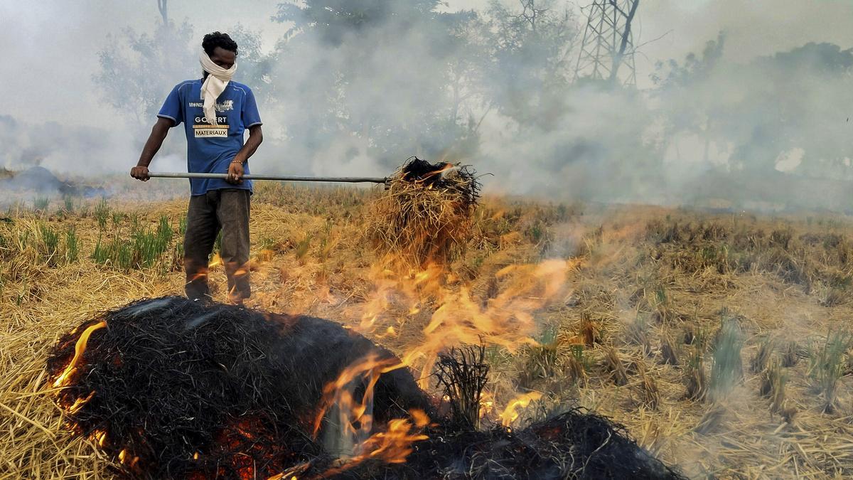 பயிர்-கழிவுகள்-எரிப்பதை-ஏன்-தடுக்கவில்லை?---ஹரியானா,-பஞ்சாபுக்கு-உச்ச-நீதிமன்றம்-கண்டனம்