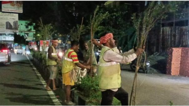 Planting of 12,000 flower plants at Chennai city roadblocks started