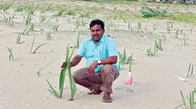 planting-23-lakh-palm-seeds-in-water-bodies-by-creating-a-separate-app