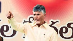 aging-population-is-increasing-we-should-have-more-children-andhra-cm