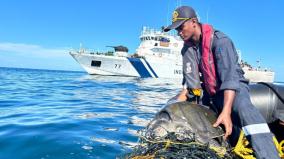 the-indian-coast-guard-rescued-a-turtle-that-was-trapped-in-a-net-in-the-middle-of-the-sea