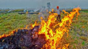 stubble-burning-violates-right-to-live-in-a-pollution-free-environment-sc