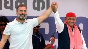 congress-not-to-contest-9-uttar-pradesh-bypolls-will-support-india-ally-samajwadi-party