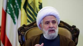 hezbollah-elects-naim-qassem-to-succeed-slain-head-nasrallah