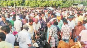 goats-trade-in-crores-in-tamilnadu-markets