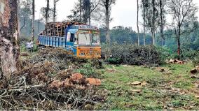 work-intensity-of-plants-removal-in-udhagai