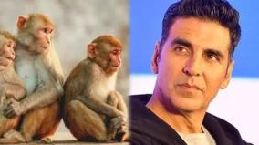 actor-akshaykumar-donates-rs-1-crore-for-monkeys-in-ayodhya