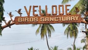 villages-around-vellode-bird-sanctuary-celebrate-cracker-free-deepavali