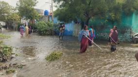 heavy-rain-at-tirupur-more-than-80-houses-affected-by-the-flood