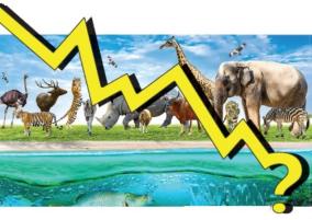 73-percent-species-decline-living-planet-report-warns