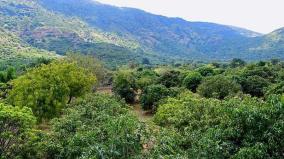 urban-forest-in-50-acres-in-sirucheri-19-water-bodies-3-thousand-trees-planted-by-forest-department