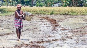 due-to-incessant-rains-cultivation-work-started-in-delta-districts