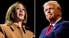 us-elections-2024-and-donald-trump-vs-kamala-harris-explained