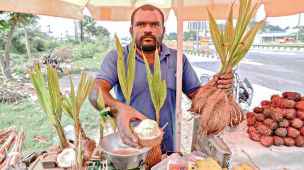 Coconut Flower Production Industry helps farmers in krishnagiri