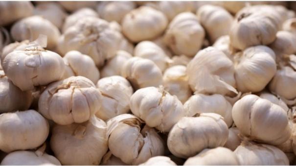 Garlic prices on the rise in Tamil Nadu: Koyambedu market sells at Rs 380 per kg