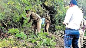 kerala-forest-dept-renovation-of-forest-paths-for-sabarimala-devotees