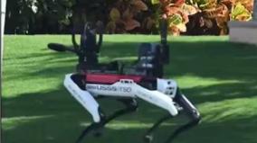 robotic-dogs-deployed-outside-trump-s-mar-a-lago-residence-after-election-win