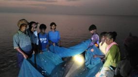 800-kg-sea-cow-caught-in-fishermens-net-near-athirampatnam