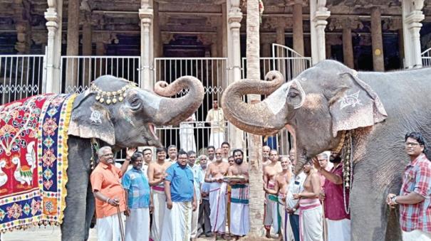 Panthalkal for Vaikunda Ekadasi festival at Srirangam Ranganatha temple