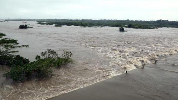 Sewage Mixing at Thamirabarani River to be Completely Banned: TN Govt Informs High Court