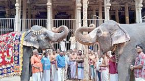 panthalkal-for-vaikunda-ekadasi-festival-at-srirangam-ranganatha-temple