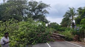 traffic-disrupted-by-trees-uprooted-by-rain-in-kumari