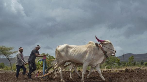 The government must step in immediately in PM kisan yojana frauds