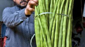 drumstick-prices-at-peak-in-koyambedu