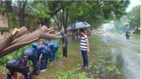 heavy-rains-in-cuddalore-incessantly-flooded-homes