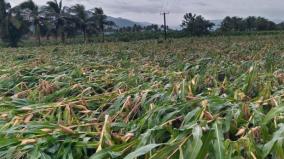 steps-to-provide-relief-to-all-farmers